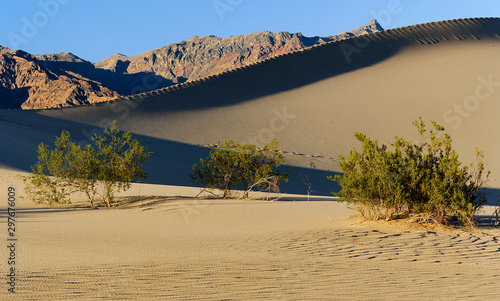 death valley sand dunes photo