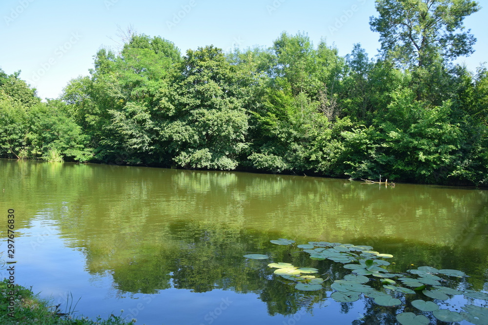 Lake Nature Scenery Background in Czech Republic