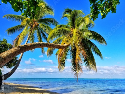 exploring magical island of tahiti