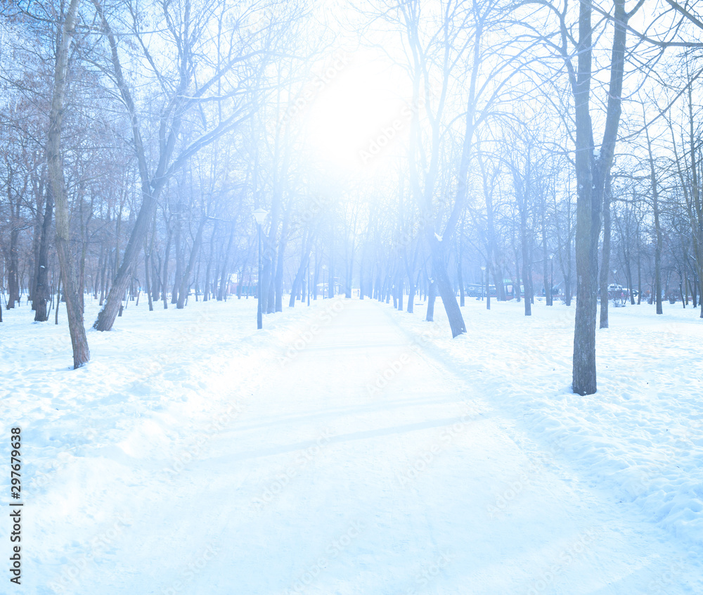 The bright white sun shines over the road between the trees in the Park in winter. The bright white sun shines over the road between the trees in the Park in winter.