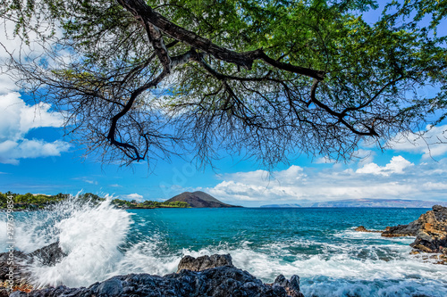 splashing waves at the shore