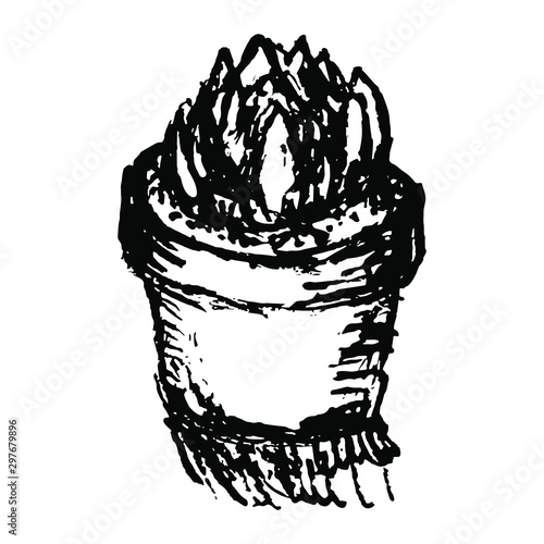 Black and white sketch of Echeveria cactus in a pot hand drawn illustration