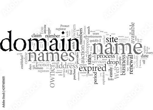 Domain Names Protect Yours From Drop Catchers
