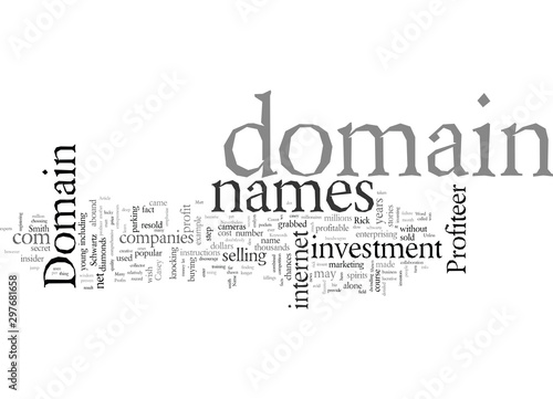 Domain Name Profits