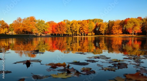 Lac aux castors de Montréal en automne photo