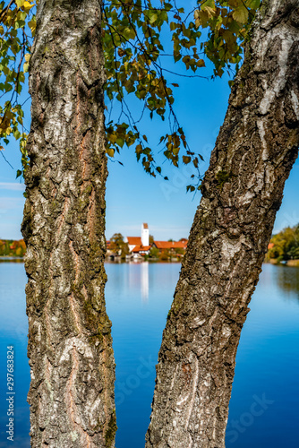 Blick durch zwei Birken auf den Riegsee photo