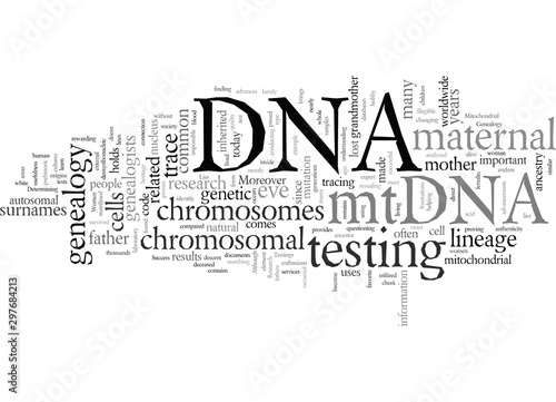 dna genealogy