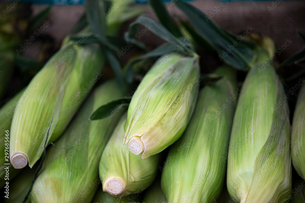 Corncobs on a market stall. Texture photo of cobs wrapped in green leaves in a grocery store Corncobs on a market stall. Texture photo of cobs wrapped in green leaves in a grocery store
