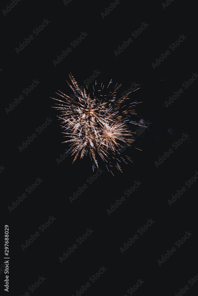 fireworks in the night sky fireworks in the night sky