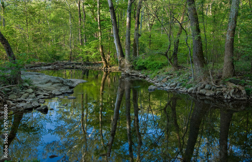 Calm pool and streamside rocks and trees in the Moorman's River Nature Area near White Hall, Virginia, in mid-April