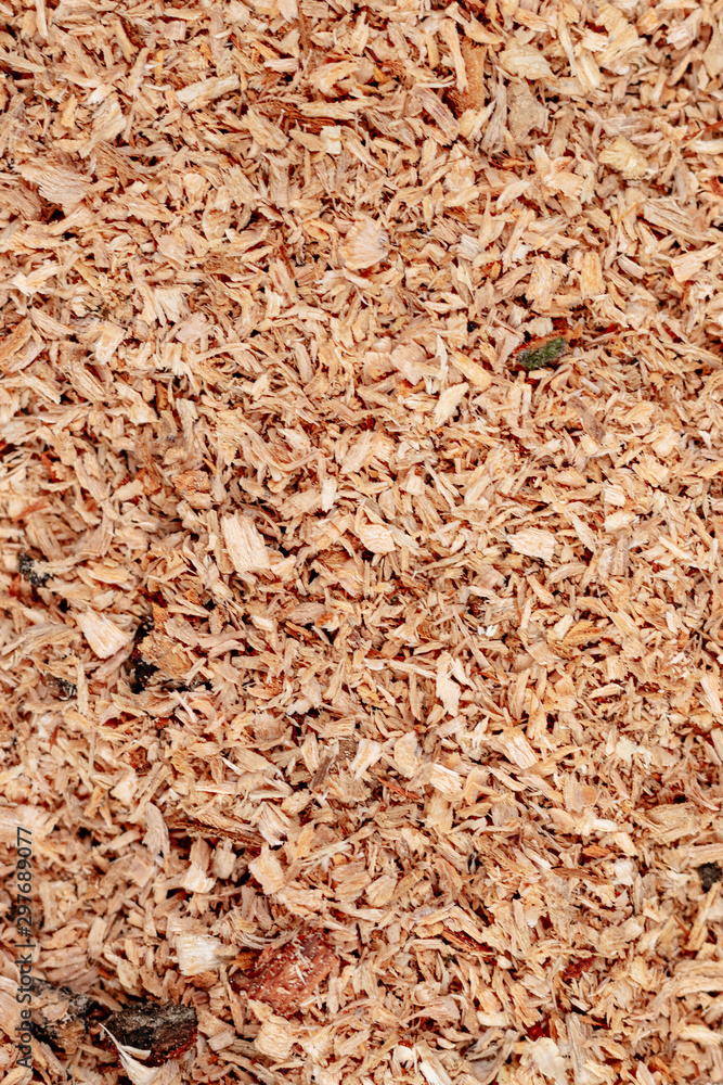 Sawdust or wood dust texture background. Wood sawdust background closeup. Sawdust floor texture. Top view. Saw dust texture, close-up background of brown sawdust. Sawdust or wood dust texture background. Wood sawdust background closeup. Sawdust floor texture. Top view. Saw dust texture, close-up background of brown sawdust.