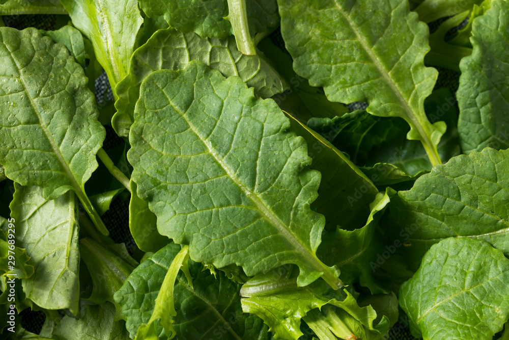 Raw Green Organic Baby Kale Superfood Raw Green Organic Baby Kale Superfood