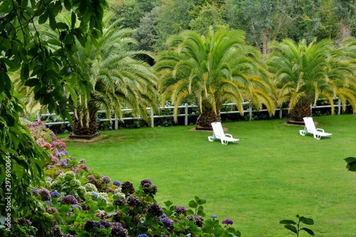 Joli jardin avec chaise longue sous des palmiers en Bretagne photo