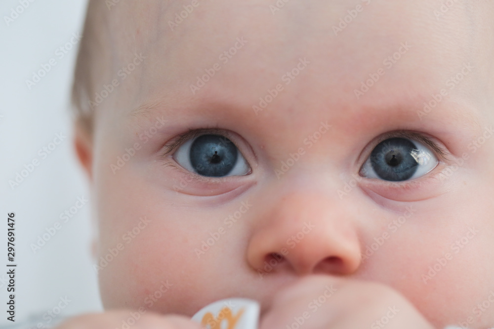 Close up Portrait of 7 Month Old Baby Girl with Big Blue Eyes, Happy Cute Baby, Happy family concept, The most Beautiful Girl, Princesses Close up Portrait of 7 Month Old Baby Girl with Big Blue Eyes, Happy Cute Baby, Happy family concept, The most Beautiful Girl, Princesses