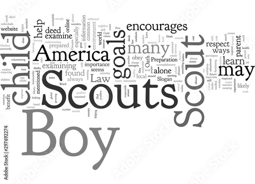 Common Boy Scouts of America Goals