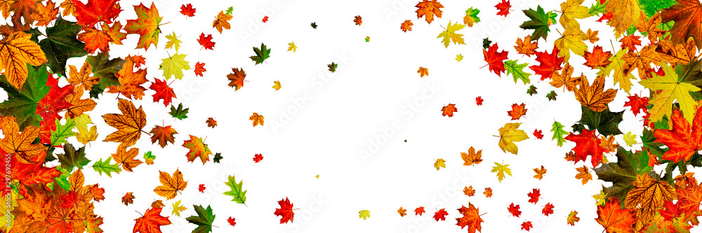 Leaves pattern. October abstract falling background. Autumn concept Leaves pattern. October abstract falling background. Autumn concept