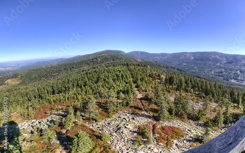  Tree-sea Peak in the Giant Mountains Poland