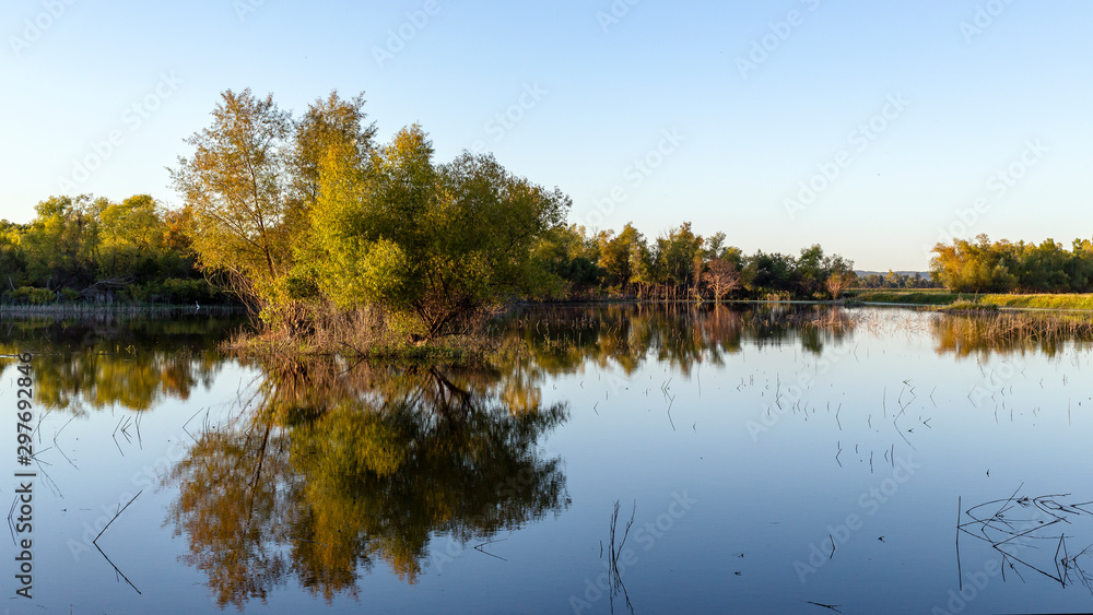 landscape with trees reflected in a lake at a wetlands conservation area under a cloudless sky