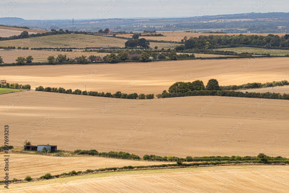 British Countryside. Agricultural Fields