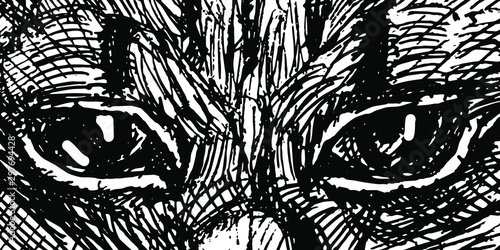 Black and white ink sketch of whisker cat eyes close up vector illustration