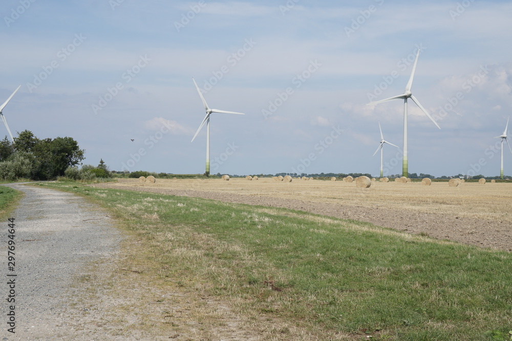 Fototapeta premium Feld mit Windkrafträdern