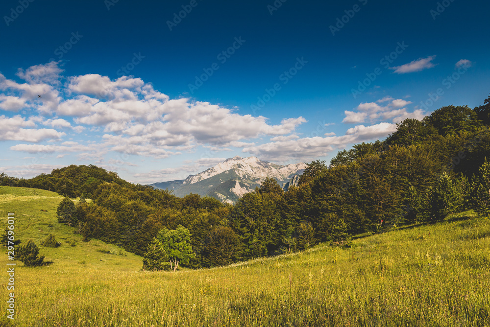 Mountain landscape 