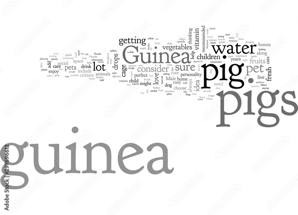 Cavy Care Is A Guinea Pig Right For You Cavy Care Is A Guinea Pig Right For You