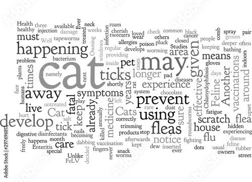 Cat Care  Health