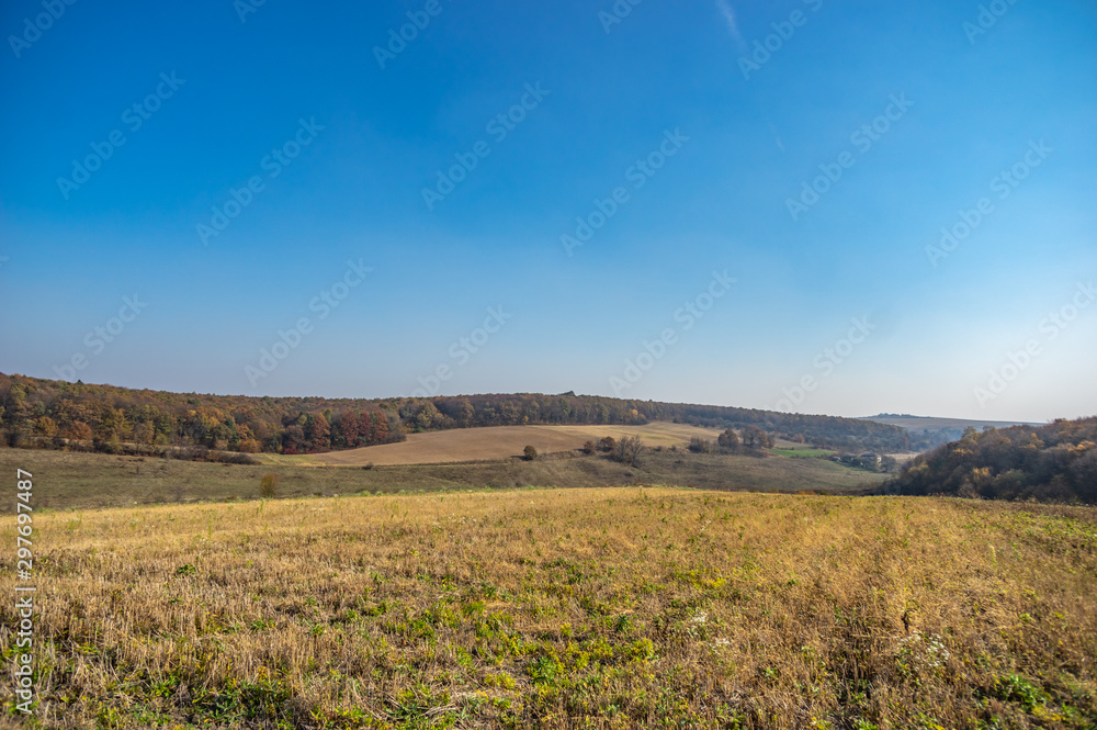 Sown field in autumn day