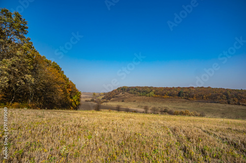 Sown field in autumn day