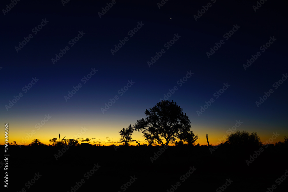 Orange and black sunset view over trees in Kalbarri National Park in the Mid West region of Western Australia