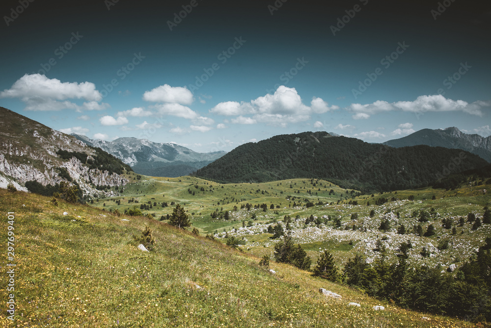 Landscape in mountain 