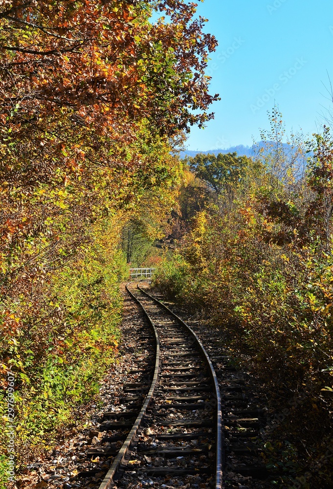a railway among the yellowed trees a railway among the yellowed trees