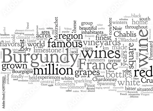 Burgandy France Famous For Its Wines