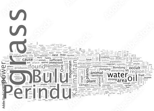 Bulu Perindu The Enchanted Grass