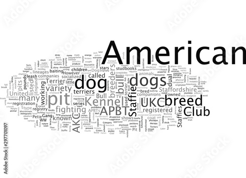 bull dog pit terrier