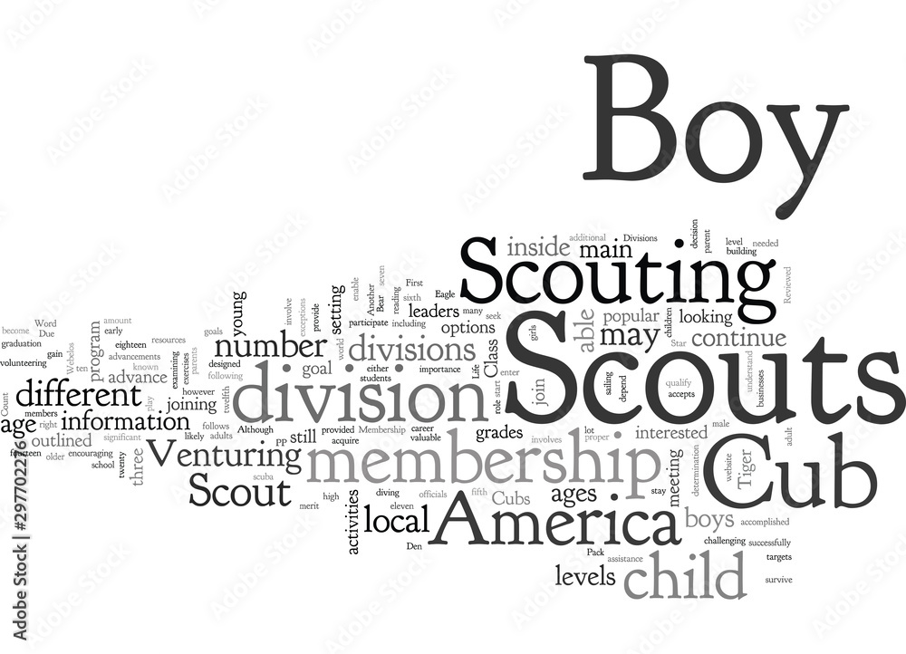Boy Scout Membership Divisions Reviewed