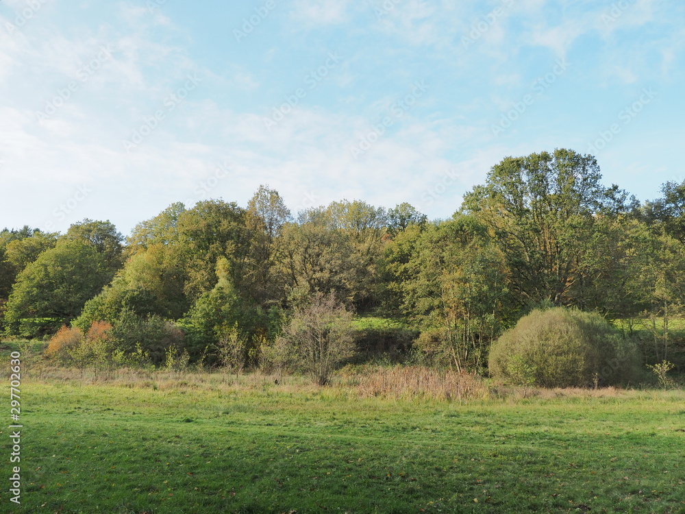 Herbststimmung am Furpacher Weiher bei Neunkirchen im Saarland