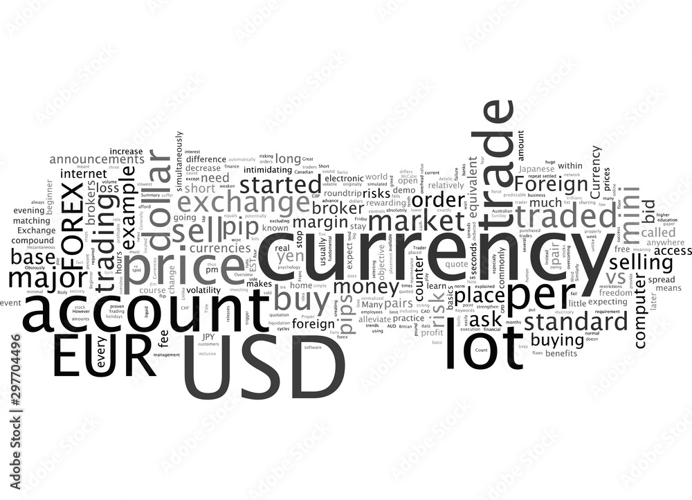 Beginner s Overview of Foreign Currency Exchange Beginner s Overview of Foreign Currency Exchange