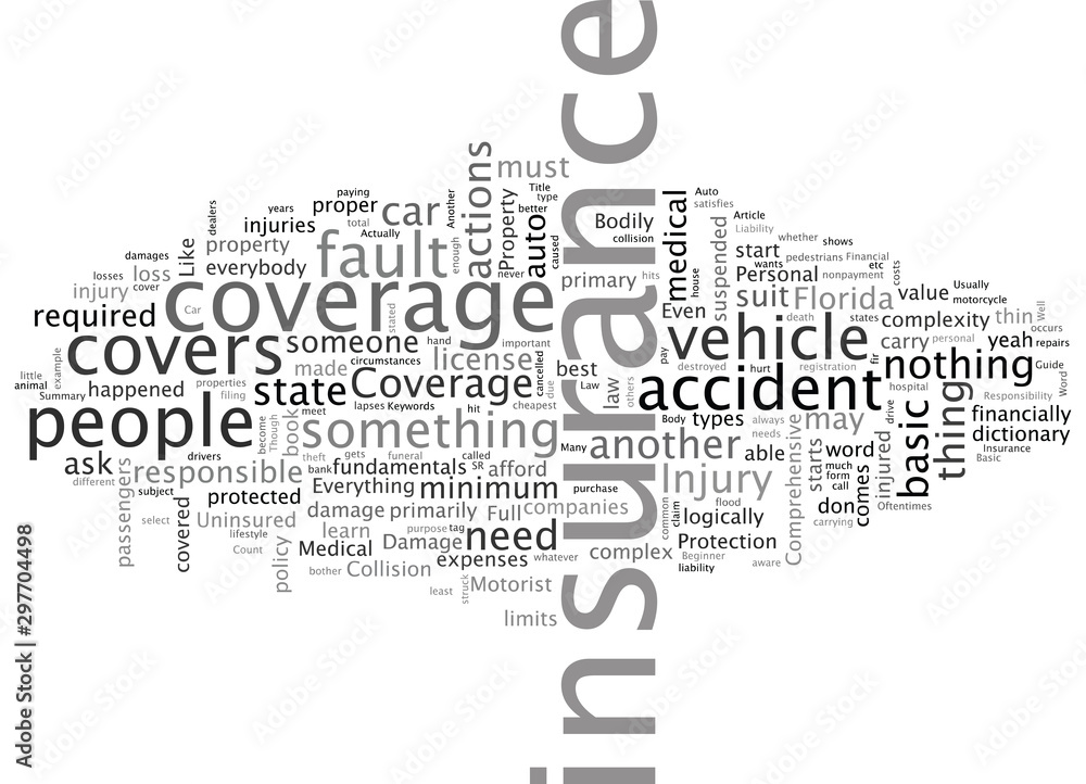 Beginner s Guide To Auto Insurance Beginner s Guide To Auto Insurance