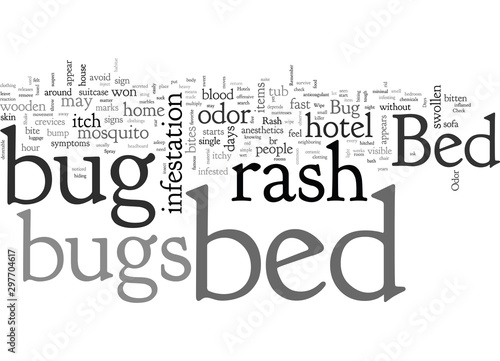 bed bug rash
