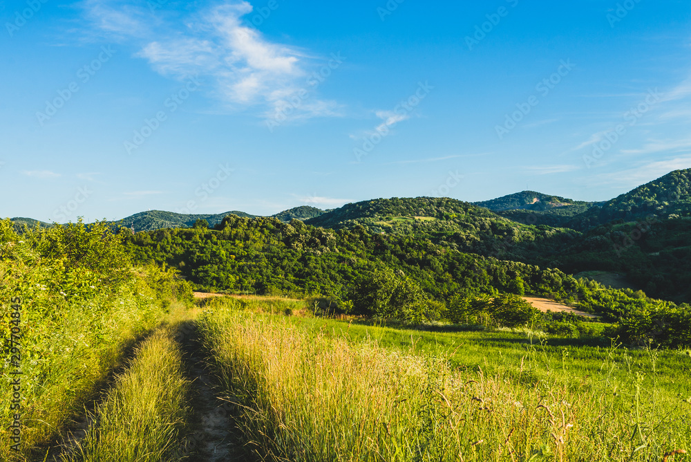 Fototapeta premium summer landscape with mountains and clouds