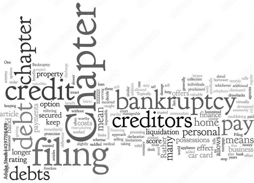 Bankruptcy What s the difference between Chapter and Chapter Bankruptcy What s the difference between Chapter and Chapter