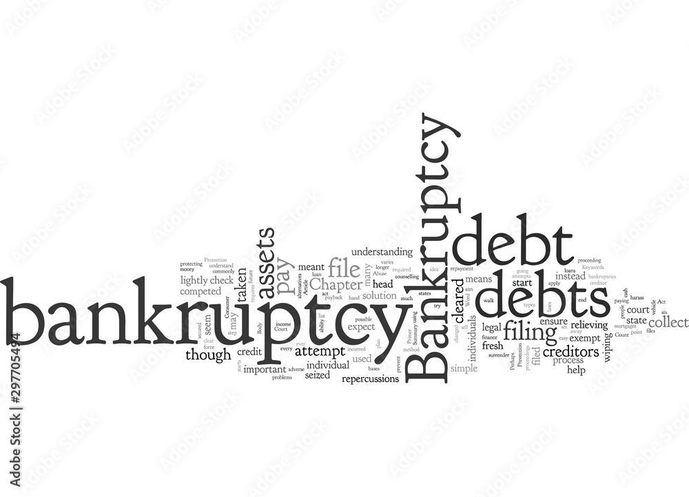 Bankruptcy Primer
