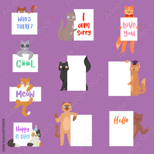 Cat banner vector kitten character peeking behind cardboard kitty holding copy space message poster illustration set of pussycat pet animal advertising isolated on background