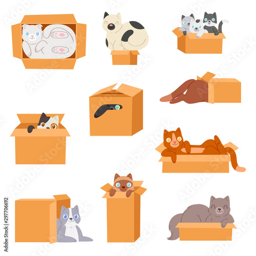 Cat in box vector kitty pet character domestic animal kitten in boxed gift illustration feline set of pussycat hidding in package isolated on white background