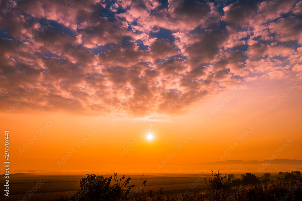 sunset over field 