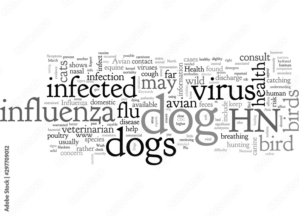 Are Dogs Safe From the Bird Flu
