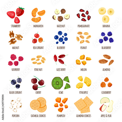Porridge ingredients vector healthy food for breakfast nuts cookies berries fruits for vegetarian diet illustration set of blueberry strawberry cherry hazelnut isolated on white background