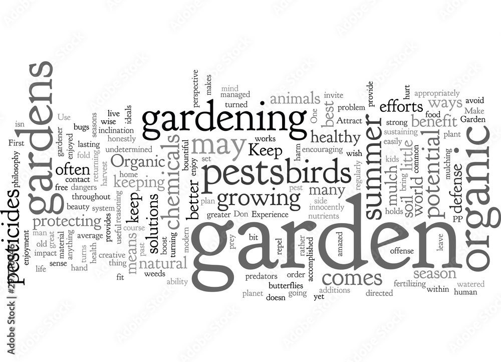 An Organic Summer Garden Experience An Organic Summer Garden Experience